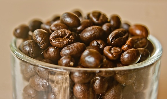 Read more about the article Nye kaffebønner